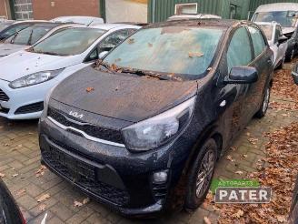 Auto da rottamare Kia Picanto Picanto (JA), Hatchback, 2017 1.0 DPi 12V 2023/9