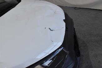 Volkswagen Caddy MODIFIED PARTITION WALL 2.0 TDI picture 11