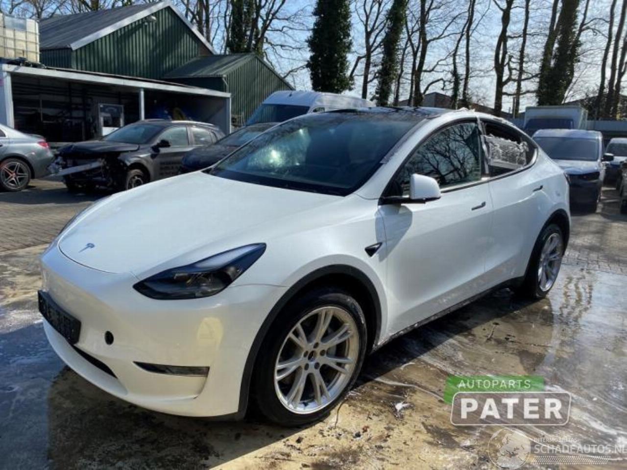 Tesla Model Y Model Y (5YJY), SUV, 2019 Long Range,Performance