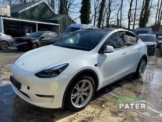 Salvage car Tesla Model Y Model Y (5YJY), SUV, 2019 Long Range,Performance 2023/11