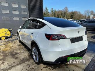 Tesla Model Y Model Y (5YJY), SUV, 2019 Long Range,Performance picture 7