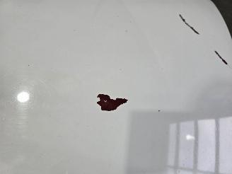 Fiat Panda 1.2 Edizione Cool picture 10