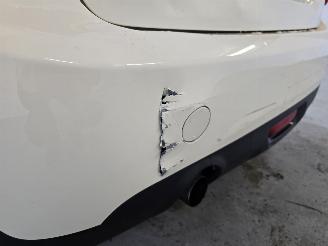 Mini One 1.2 Salt picture 14