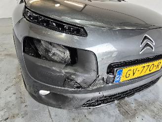 Citroën C4 cactus 1.2 PureTech Shine picture 10