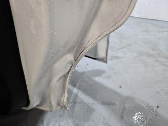 Citroën C3 E-C3 Max 113pk 44 kWh picture 12