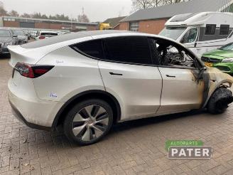 Tesla Model Y Model Y (5YJY), SUV, 2019 Long Range,Performance AWD picture 3