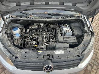 Volkswagen Caddy maxi 1.6 TDI 75 Kw picture 13
