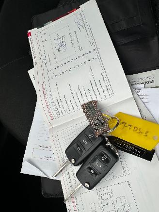 Skoda Octavia 1.4 TSI Greentech Elegance Business Line picture 13