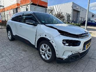  Citroën C4 cactus 1.2 PureTech Shine 2019/5