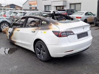 Tesla Model 3 Model 3, Sedan, 2017 Standard RWD Plus picture 4