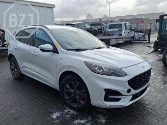 Ford Kuga  picture 2