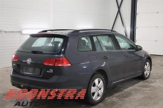 Volkswagen Golf Golf VII Variant (AUVV), Combi, 2013 / 2021 1.4 TGI 16V picture 4
