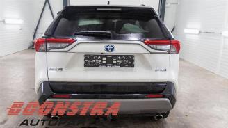 Toyota Rav-4 RAV4 (A5), Terreinwagen, 2018 2.5 Hybrid 16V picture 3
