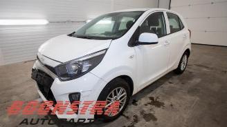 Sloopauto Kia Picanto Picanto (JA), Hatchback, 2017 1.0 DPi 12V 2023/6