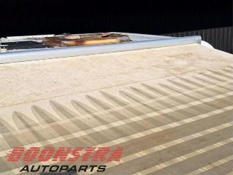 Fiat Ducato Ducato (250), Ch.Cab/Pick-up, 2006 2.3 D 130 Multijet picture 20