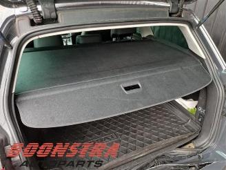 Volkswagen Passat Passat Alltrack (365), Combi, 2012 / 2014 2.0 TDI 16V 177 4Motion picture 14