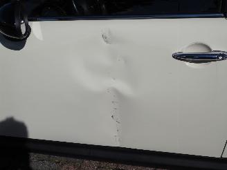 Mini Mini 1.6 Cooper 10 Years II picture 10