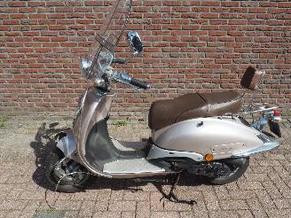 krockskadad bil bromfiets Overige  Rover Classic 2009/6