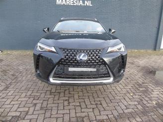 Lexus UX UX, SUV, 2019 250h 2.0 16V picture 2