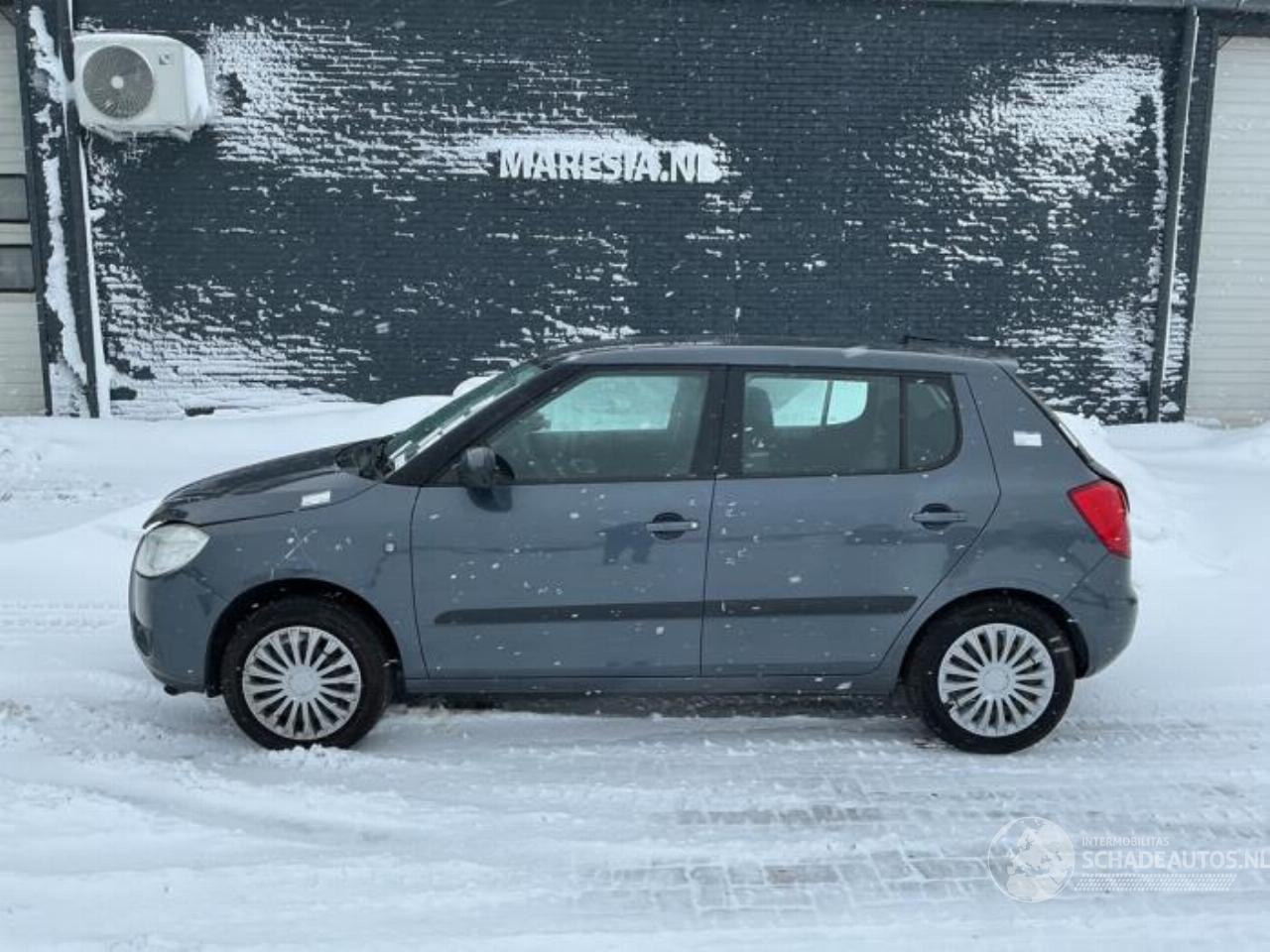 Skoda Fabia Fabia II (5J), Hatchback 5-drs, 2006 / 2014 1.4 TDI 80