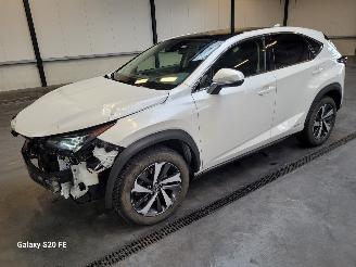  Lexus NX 300h Hybrid 2.5 145-KW Automaat AWD Panoramadak 2020/9