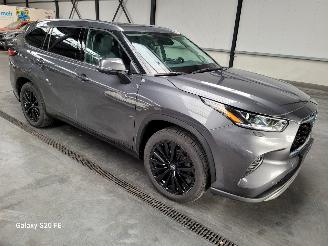 Avarii autoturisme Toyota Highlander 2.5 Hybrid 182-KW Automaat AWD 7-Persoons 2024/1