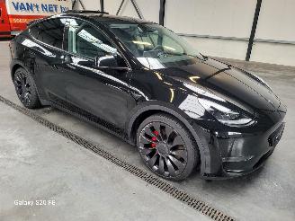 Coche accidentado Tesla Model Y Performance 393-KW Automaat AWD 2024/12