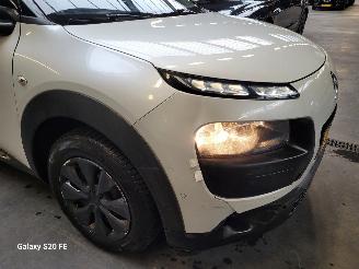 Citroën C4 cactus BLUE 1.6 HDi 73-KW Panoramadak picture 5