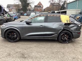 Audi Q6 Q6 e-tron (GFB), SUV, 2024 Performance 100 kWh picture 8