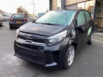 Sloopauto Kia Picanto Picanto (JA), Hatchback, 2017 1.0 DPI 12V 2023/7