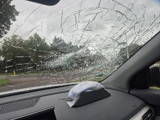 Hyundai Nexo FCEV PLUS PACK picture 19