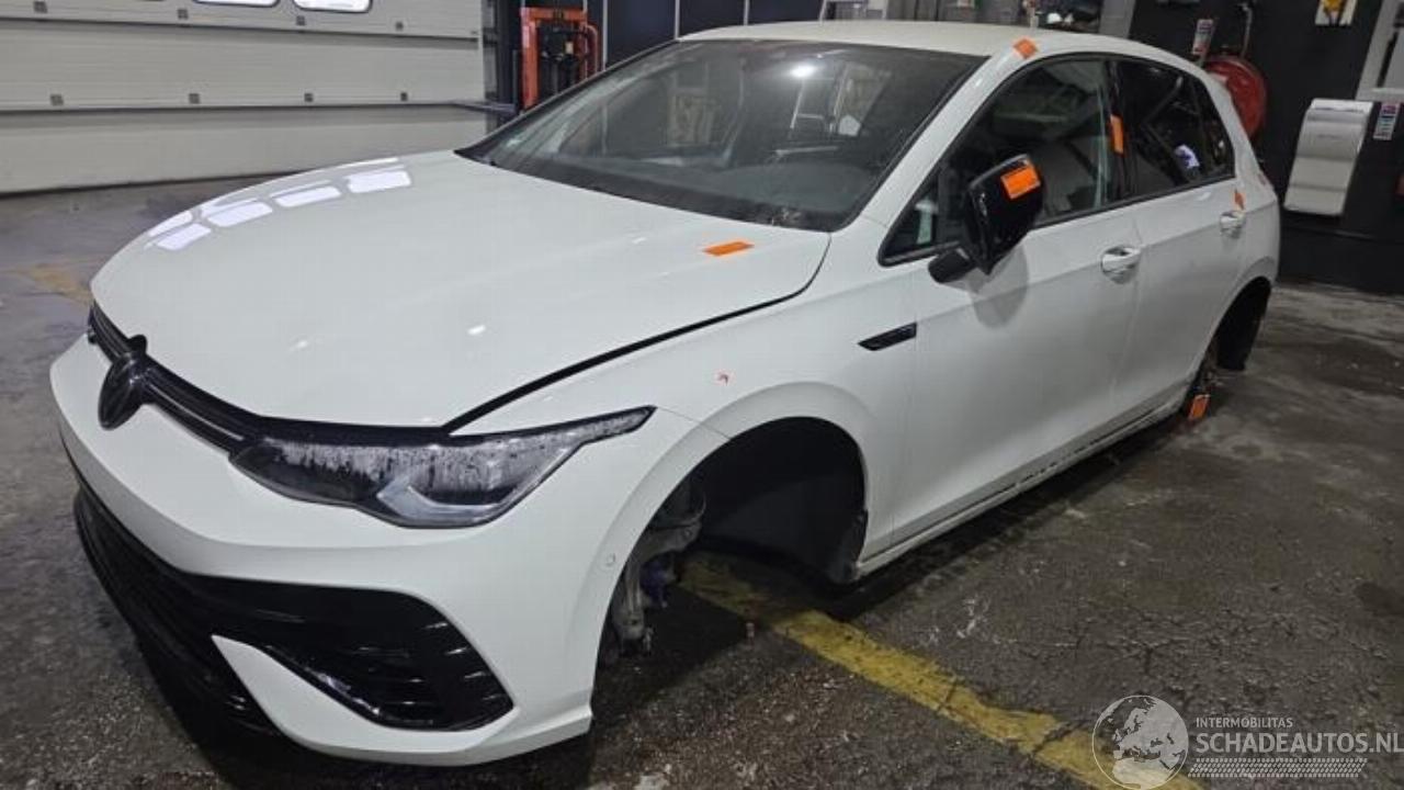 Volkswagen Golf Golf VIII (CD1), Hatchback, 2019 2.0 TSI R 16V 4Motion