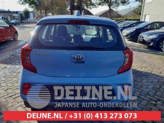 Kia Picanto Picanto (JA), Hatchback, 2017 1.0 12V picture 6