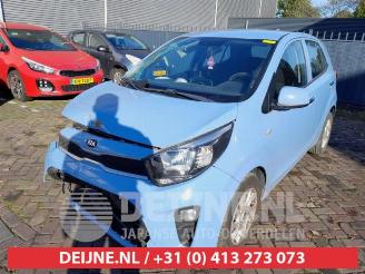 Kia Picanto Picanto (JA), Hatchback, 2017 1.0 12V picture 3