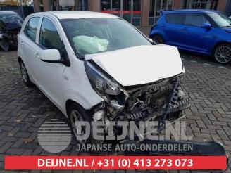Auto da rottamare Kia Picanto Picanto (JA), Hatchback, 2017 1.0 12V 2017/5