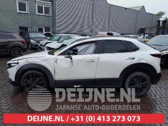 Mazda CX-30 CX-30 (DM), SUV, 2019 2.0 e-SkyActiv-G 122 16V picture 4