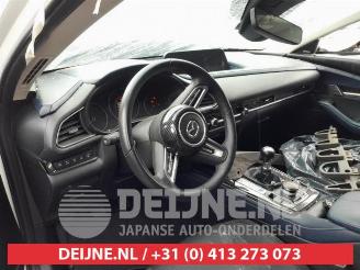 Mazda CX-30 CX-30 (DM), SUV, 2019 2.0 e-SkyActiv-G 122 16V picture 21