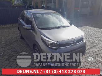 Kia Picanto Picanto (JA), Hatchback, 2017 1.0 DPi 12V 2020/11
