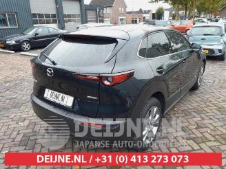 Mazda CX-30 CX-30 (DM), SUV, 2019 2.0 e-SkyActiv-G 122 16V picture 7