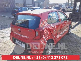 Kia Picanto Picanto (JA), Hatchback, 2017 1.0 12V picture 7