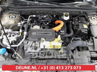Mazda MX-30 MX-30, SUV, 2020 e-SkyActiv R-EV 170 picture 26