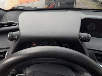 Lexus UX  picture 22