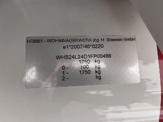 Hobby  495 UL Excellent Edition Mover Luifel picture 7