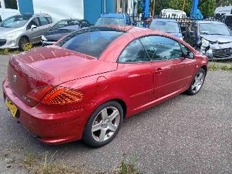 Peugeot 307 307 CC (3B) Cabrio 2.0 16V (EW10J4S(RFK)) [130kW] picture 3