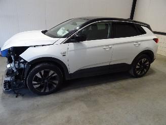 Opel Grandland 1.2 TURBO picture 3