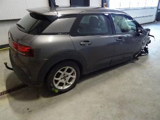 Citroën C4 cactus 1.5 hdi picture 3