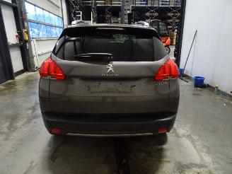 Peugeot 2008 1.6 VTI picture 2