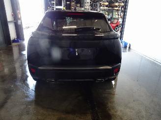 Peugeot 2008 1.2 THP picture 2