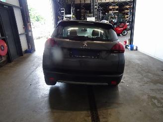 Peugeot 2008 1.2 THP picture 2