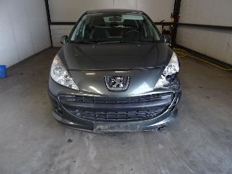 Peugeot 207 1.4 16V picture 2